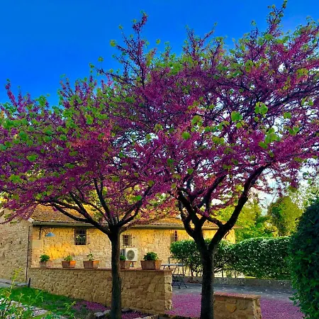 Penzion Borgo Di Montacchiello